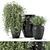 Rustic Concrete Pot Outdoor Tree Set 3D model small image 1