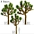 Desert Majesty: Set of 3 Joshua Trees 3D model small image 1