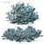 Picea pungens: Stunning Blue Spruce 3D model small image 1