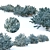 Picea pungens: Stunning Blue Spruce 3D model small image 3