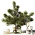 Winter Pine Branch Bouquet 3D model small image 1