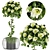 Elevate Your Space with Collection Plant Vol. 37 3D model small image 1
