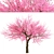 Thrive with Eastern Redbud Trees! 3D model small image 2