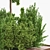 Garden Greenery Collection 3D model small image 3