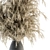 55 Pampas Dry Plant Bouquet 3D model small image 2