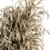 55 Pampas Dry Plant Bouquet 3D model small image 4