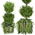 Elevate Your Space: Collection Plant Vol. 41 3D model small image 2