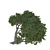 Cedar Tree: A Natural Beauty 3D model small image 1