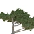 Cedar Tree: A Natural Beauty 3D model small image 2
