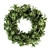 Festive Evergreen Wreath 3D model small image 1