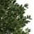 Realistic Pine Tree Set: 3D Model 3D model small image 4