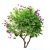 Vibrant Bougainvillea Flower 3D model small image 3