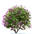 Vibrant Bougainvillea Flower 3D model small image 4