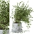 Rusty Concrete Pot Indoor Plant Set 3D model small image 1