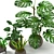 Tropical Houseplants Collection: Pilea, Ficus, Monstera 3D model small image 2