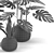 Tropical Houseplants Collection: Pilea, Ficus, Monstera 3D model small image 4