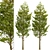 Set of Overcup Oak Trees (3 Trees) 3D model small image 3