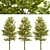 Set of Overcup Oak Trees (3 Trees) 3D model small image 4