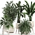 Exotic Plant Collection 791 3D model small image 1