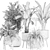 Exotic Plant Collection 791 3D model small image 5