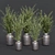 Oliv Collection Plant: 3D Model 3D model small image 1