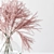 Pretty in Pink Pampas 3D model small image 2