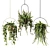 Hanging Planter Set: Cascading Ampel Plants 3D model small image 1