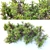 Lush and Durable Foliage Bush 3D model small image 3