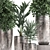 Luxury Plant Collection: Exotic & Tropical Beauties 3D model small image 4