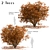 Chinese Tallow Tree Set: Spectacular Fall Colors 3D model small image 1