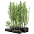  Rusty Concrete Pot Indoor Bamboo Plants Set 3D model small image 3