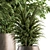 Tropical Oasis: Indoor Plant Set 112 3D model small image 2