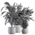 Tropical Oasis: Indoor Plant Set 112 3D model small image 4