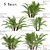 Dwarf Sugar Palm Set: Tropical Paradise (2 Trees) 3D model small image 1