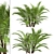 Dwarf Sugar Palm Set: Tropical Paradise (2 Trees) 3D model small image 3