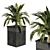 Tropical Garden Set: Palm Trees 3D model small image 4