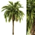 Green Palm Tree - Set 34 3D model small image 1