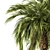 Green Palm Tree - Set 34 3D model small image 2