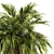 Green Palm Tree - Set 34 3D model small image 3