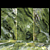 Shimmering Green Marble Slabs 3D model small image 2