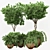 2020 Outdoor Plants Tree | Realistic Design 3D model small image 1