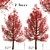 Premium Red Oak Tree Set (2 Trees) 3D model small image 3