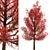 Premium Red Oak Tree Set (2 Trees) 3D model small image 4