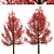 Premium Red Oak Tree Set (2 Trees) 3D model small image 5