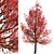 Premium Red Oak Tree Set (2 Trees) 3D model small image 7