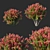 Crimson Myrtle Indica: Vibrant Red Flower 3D model small image 1