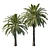 Elegant Phoenix Palm Tree 3D model small image 1