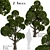 Round Shaped Bonsai Trees Duo (2 Trees) 3D model small image 1