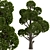 Round Shaped Bonsai Trees Duo (2 Trees) 3D model small image 2