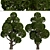 Round Shaped Bonsai Trees Duo (2 Trees) 3D model small image 3